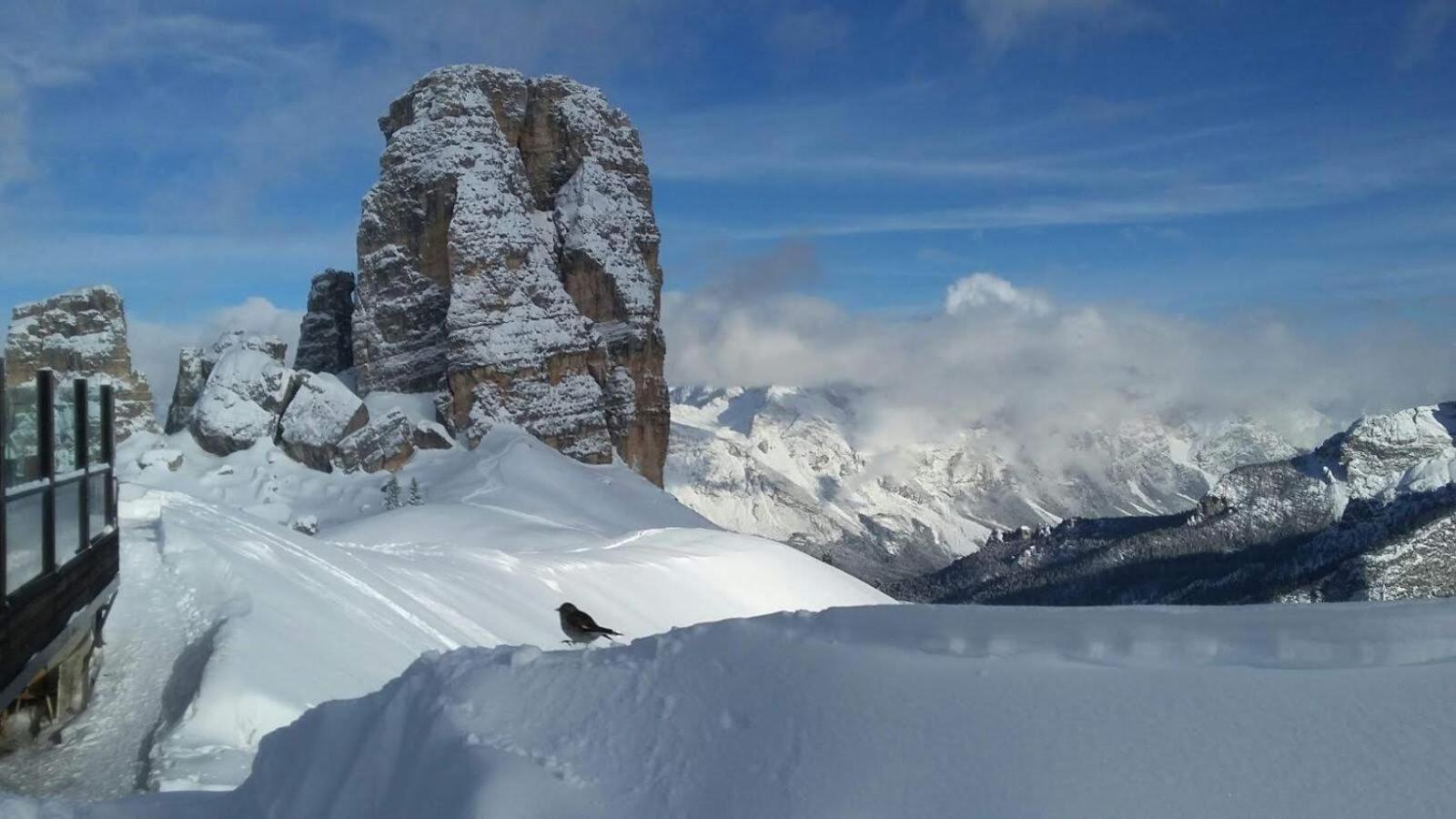 Casa Elena Appartement Pieve di Cadore Buitenkant foto