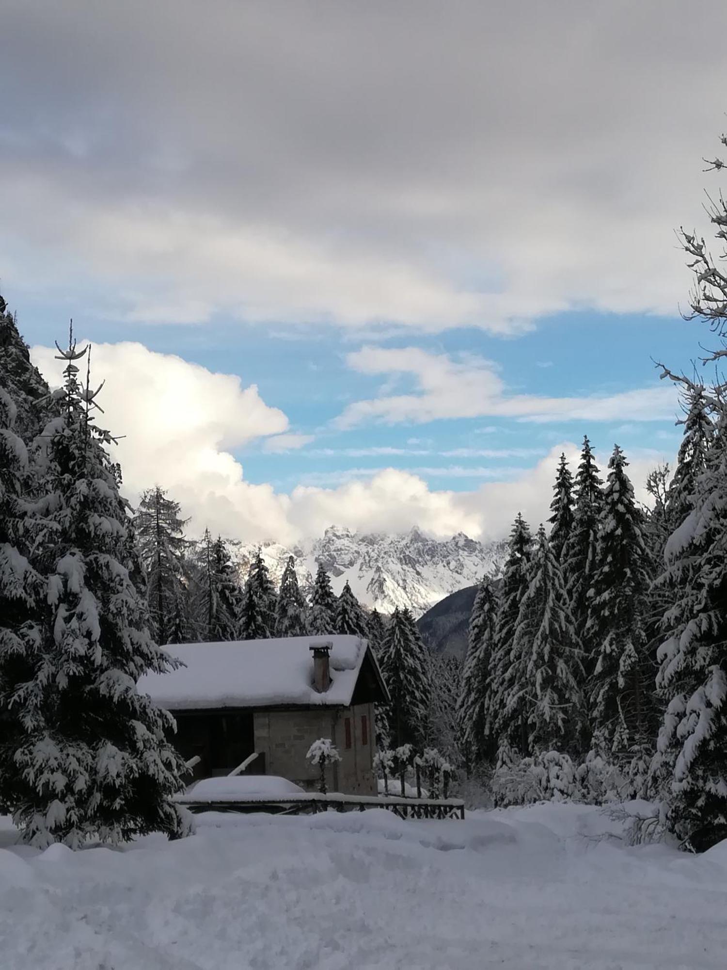 Casa Elena Appartement Pieve di Cadore Buitenkant foto